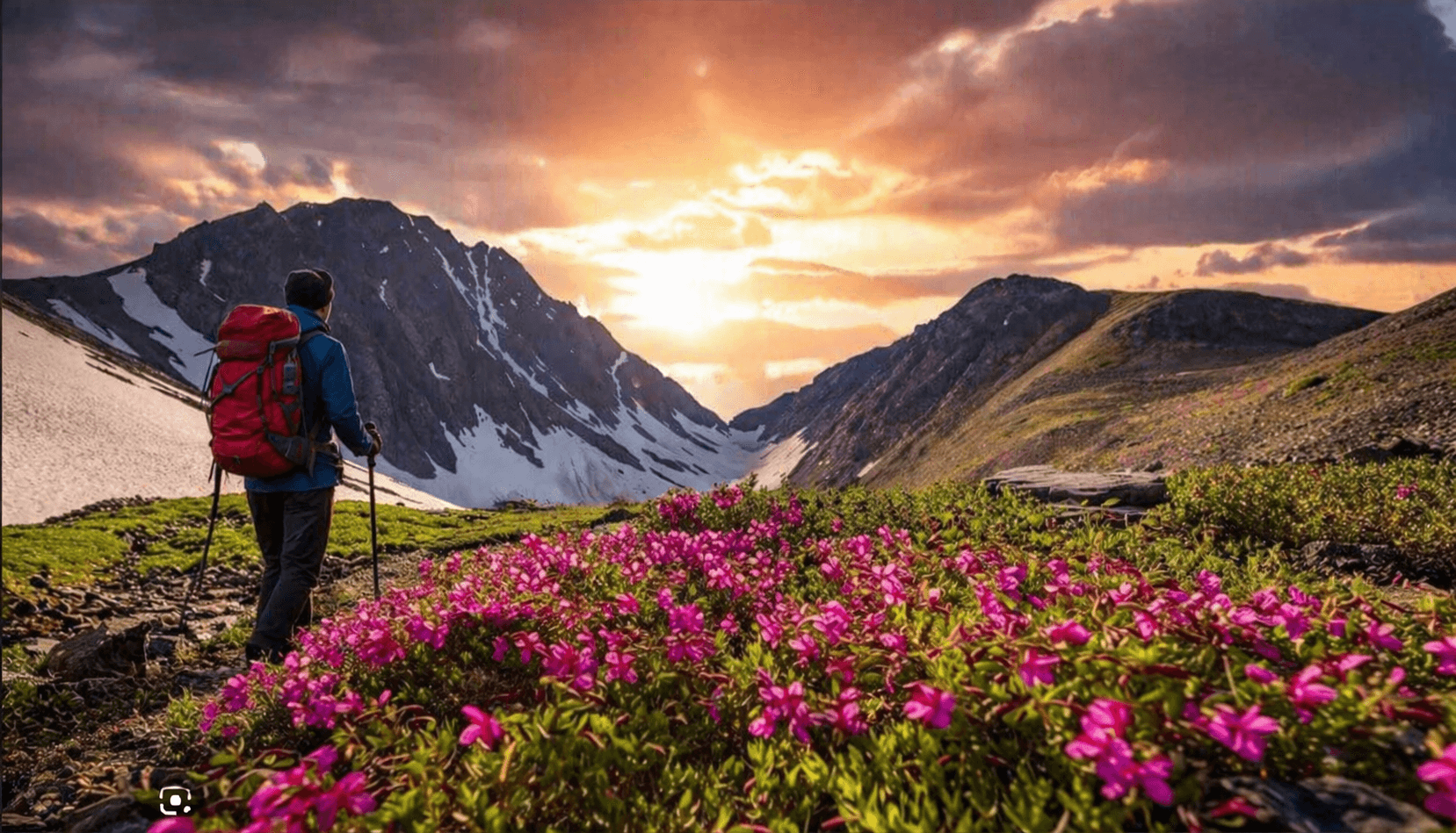Valley of Flowers Trek